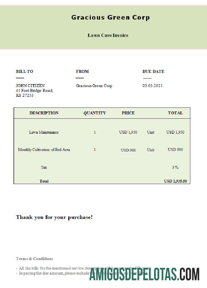 Fatura da Gracious Green Corp dos EUA baixar para verificação